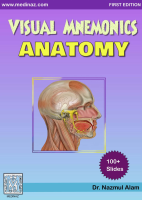 visual mnemonic anatomy.pdf